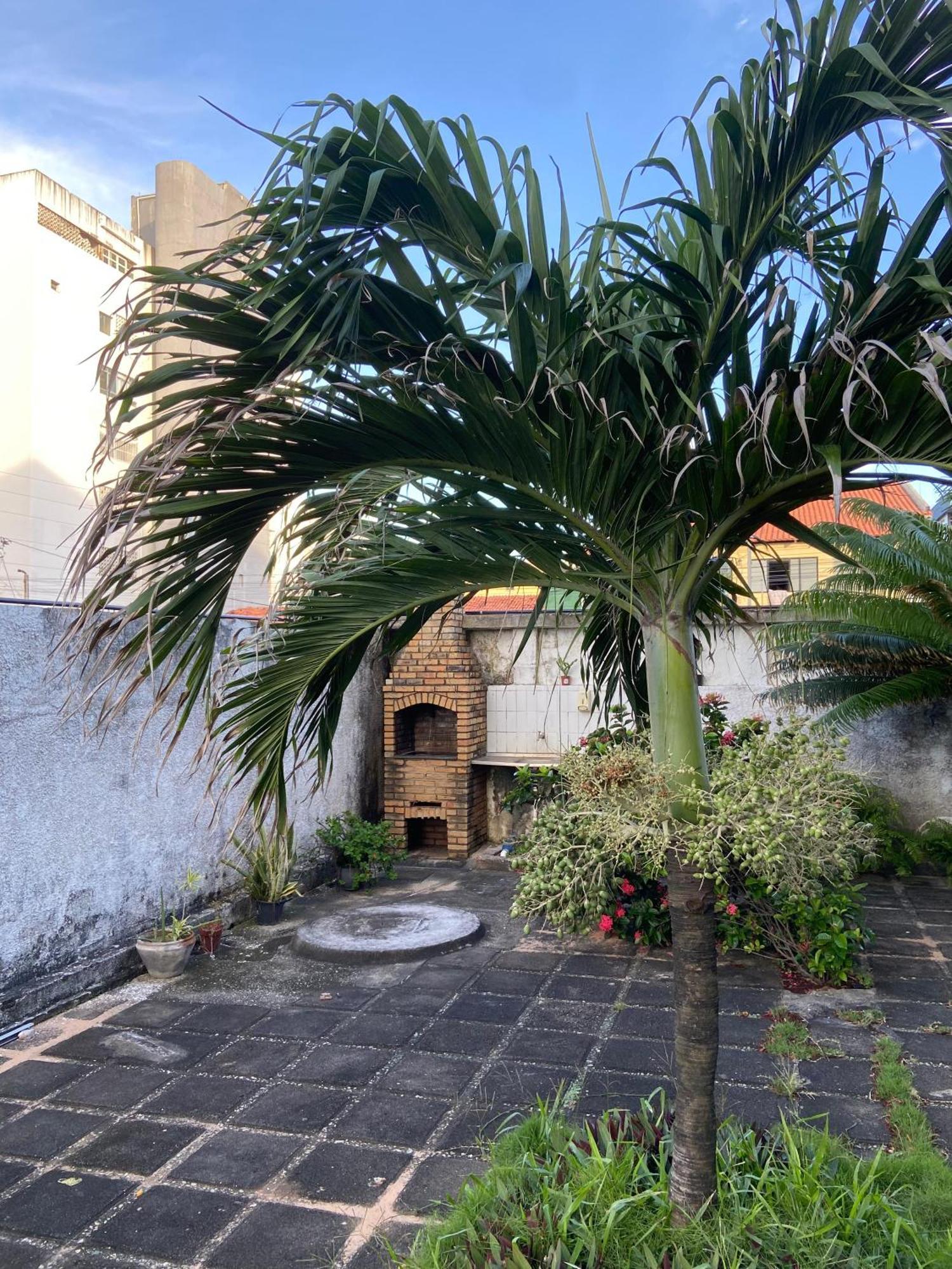 Apto Exclusivo, 200M Da Praia, Horario Flexivel 24 Horas Fortaleza  Extérieur photo